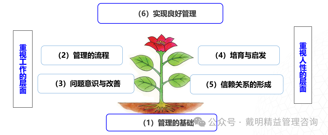 MTP企业中高层管理技能训练教程介绍